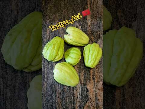 الطاجين دالقرع دالجبل شي حاجة أخرى معلك و تايقطر باللذة