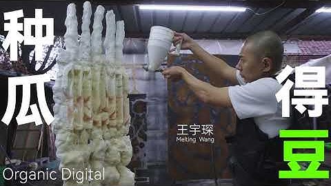 Meltingwang 王宇琛 |  In the Studio |《种瓜得豆 Organic Digital》documentary Video