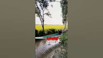 Exclusive delivery method for Vietnamese water towns#knowledge #science #viral #foryou