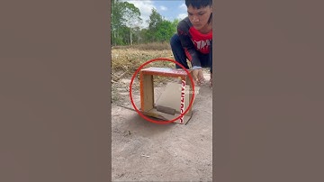 Pria Ini Punya Trik Sederhana Untuk Menangkap Burung