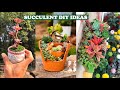 21 Succulent DIY Ideas| 21 Ý tưởng trang trí sen đá tuyệt đẹp| 多肉植物| 다육이들 | Suculentas