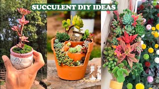 21 Succulent DIY Ideas| 21 Ý tưởng trang trí sen đá tuyệt đẹp| 多肉植物| 다육이들 | Suculentas