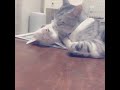 撮影されているのがばれた瞬間(!)
