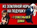 Из земляной норки на подушку | + 7 спасенышей дома!