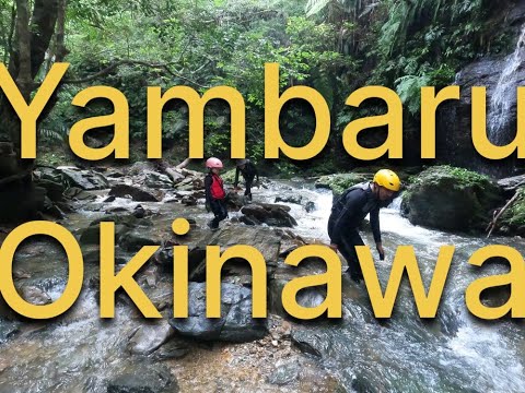 のんびりゆっくり沖縄自然体験エコツアー!お子様連れのご家族や体力に自信のない方、のんびりゆっくり沖縄の自然が満喫できるツアーをご用意しています!