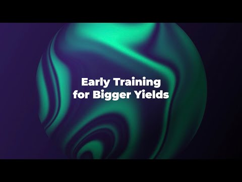 Early Training for Bigger Yields