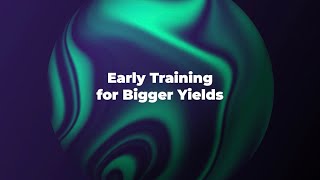 Early Training for Bigger Yields 