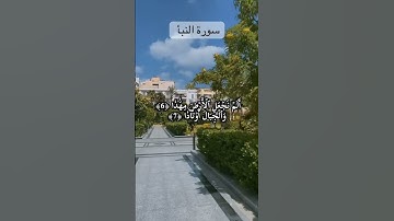 #salma_zyada #اكسبلور #قرآن #راحة_نفسية #اسلام_صبحي #سورة_النبأ #قران_كريم #اكسبلور #salma_zyada