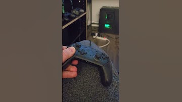 does the nintendo switch controller work on ps5?