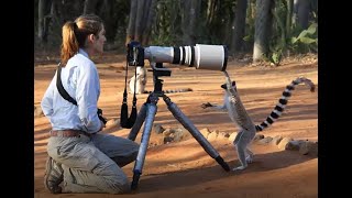 Wildlife Photography as a Woman screenshot 2
