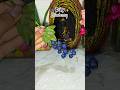Beautiful Blue Berry Flower Craft 🌿✨ | Easy Handmade Home Decor Idea #shorts#trending #viral