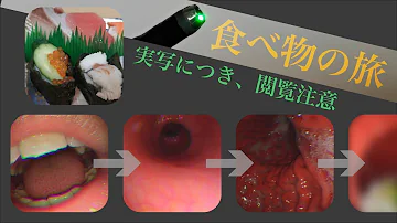تحميل たとえ胃の中水の中