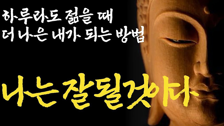 내 인생을 망치는 부정적인 감정 없애기 여러분이 몰랐던 삶을 온전히 누리지 못하는 이유 인생을 바꿀 수도 있는 이야기 행복부처님말씀 석가모니 ASMR 법정 법륜 조언 즉문즉