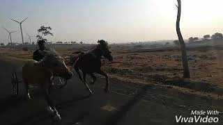 Anil Pattankudi Only Anil Anna2