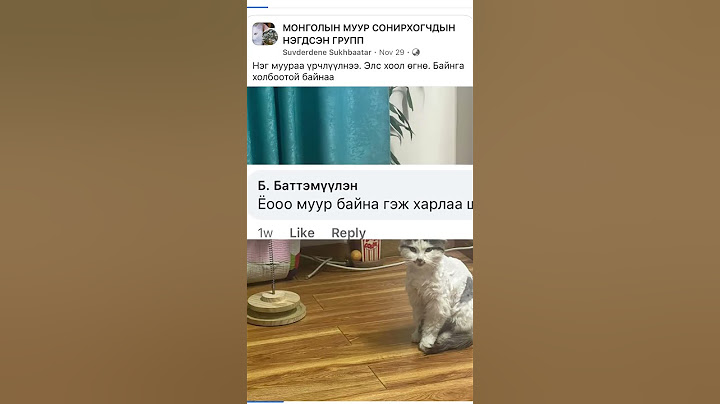 Архичин муур by Bnu? #муур #хөгжилтэй #хошин #fun #дуу