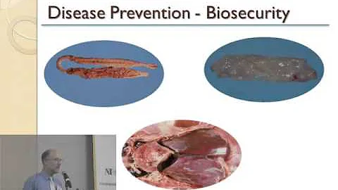 Dr. Chuck Hofacre - Antibiotic Stewardship for Pou...