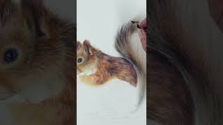 Drawing a squirrel with coloured pencil #shorts #arttutorials #colouredpencil
