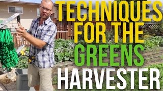 How to use the Quick Cut Greens Harvester!