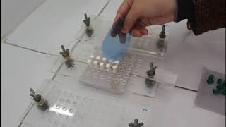 Cara Kerja Mengisi Serbuk Ke Dalam Cangkang Kapsul Menggunakan Papan Kapsul