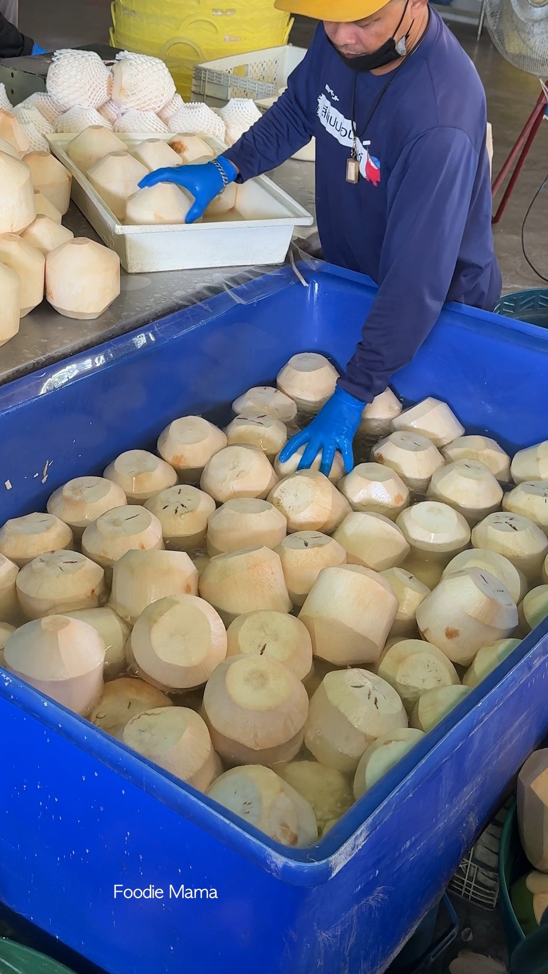 The Best Coconut Packaging Process in Thailand