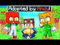 Adopted by ANDY's APPLE FARM in Minecraft!