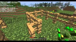 minecraft mirillis action test