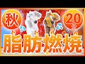 🍁秋バージョン🍁【本気の20分!汗だく脂肪燃焼🔥】お家でできる全力有酸素運動💦 #34