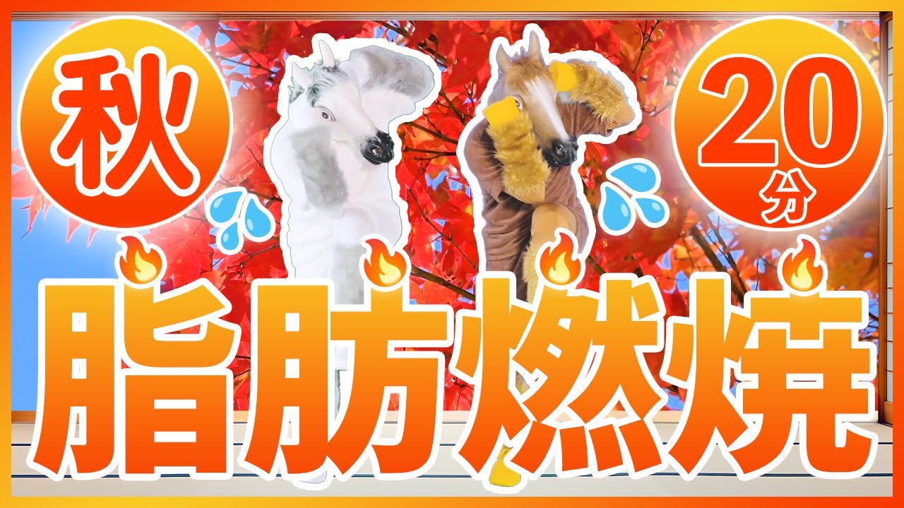 🍁秋バージョン🍁【本気の20分！汗だく脂肪燃焼🔥】お家でできる全力有酸素運動💦 #34