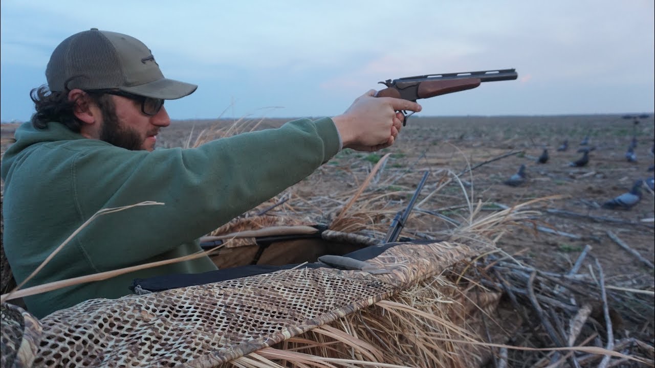 Pigeon Hunting WITH A PISTOL!!! YouTube