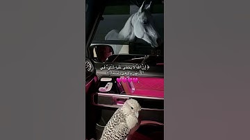 سورة آل عمران🩷. #قرآن_كريم #عبدالرحمن_مسعد