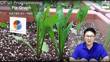 C# UI 프로그래밍 3강. Pie Graph(1/2)