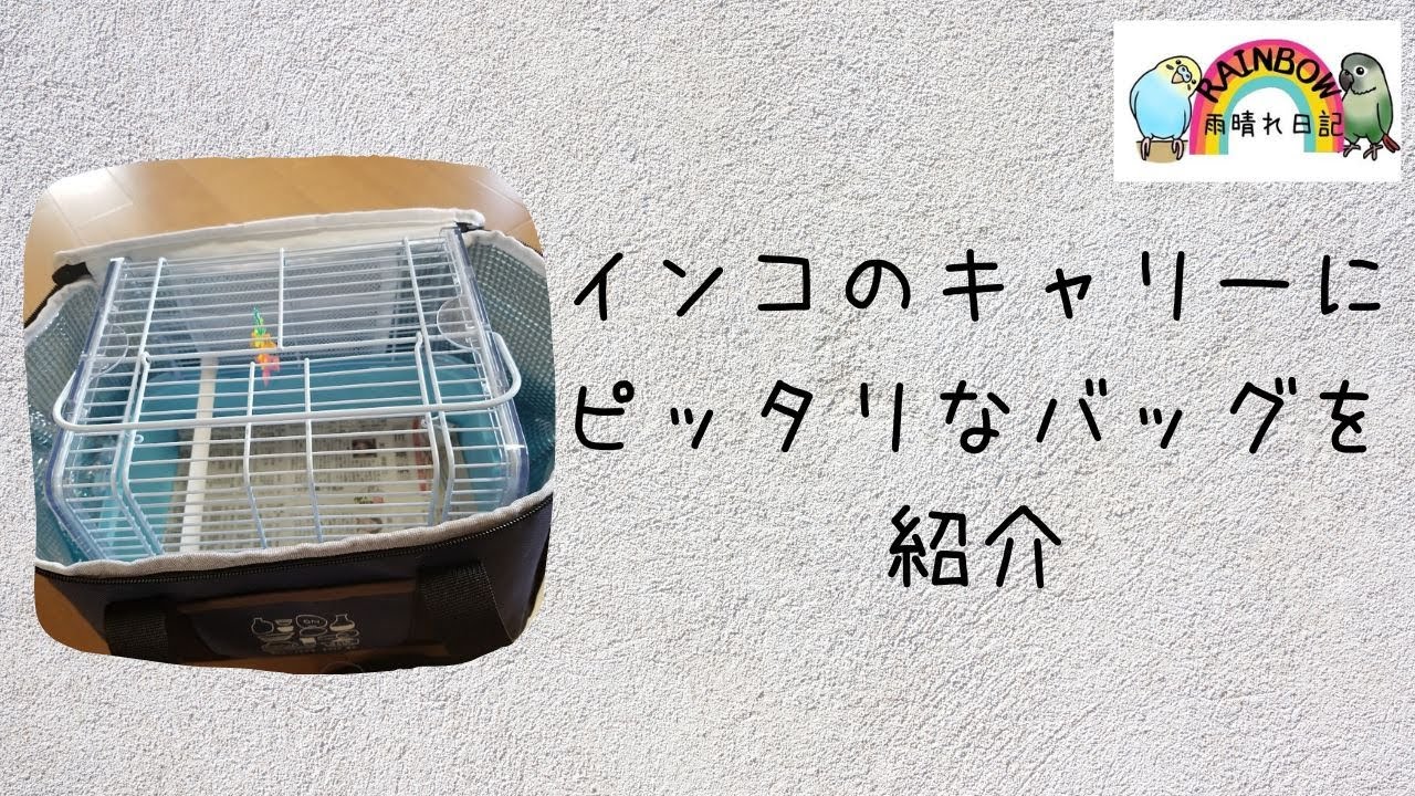 鳥さんのキャリーにピッタリなバッグを紹介！ - YouTube