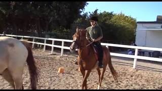 Cavalli e sport a Porto Torres