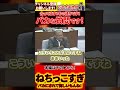 【石丸市長切り抜き】みんな思ってるんだよ、バカな質問って!【安芸高田市】