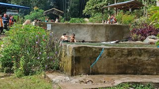 pool kolopis sunsuron tambunan