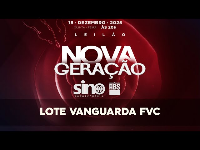 LOTE VANGUARA FVC   FVC 14014