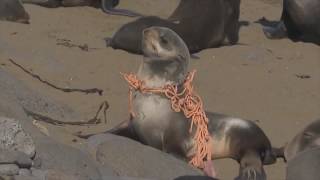 Contaminación mares