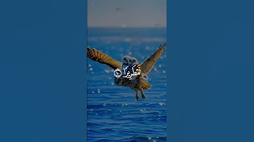 #القرآن الكريم راحة نفسية صلو على رسول الله 🌺#@@