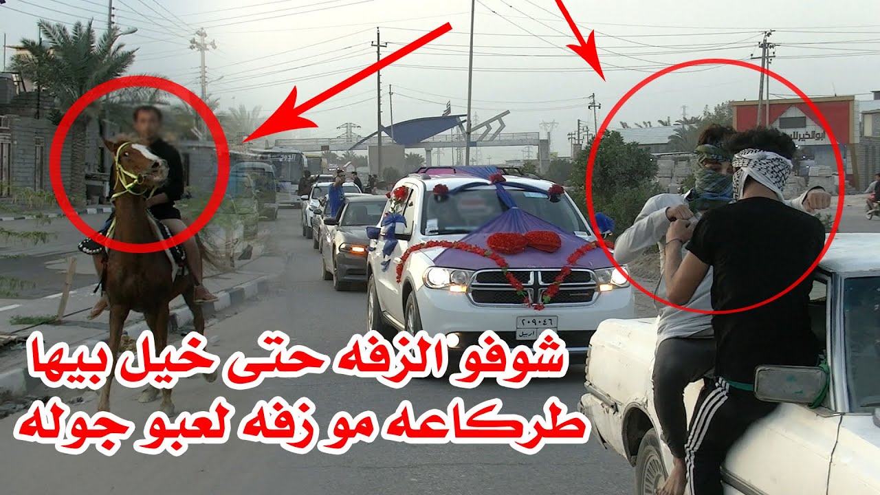 تعالو شوف الزفه طركاعه حتى خيل بيها لعبو جوله اصدقاء العريس كطعو الشوارع لو هيج اصدقاء لو ماكو