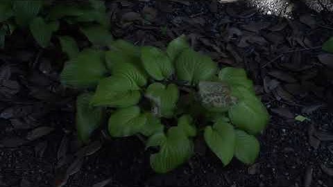 Moore Lab Assignment 3