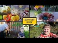 ЛАЙФХАК ОТ МУЖА//РЕЦЕПТ СОУСА ДЛЯ МЯСА//НОВИНКИ ДЛЯ ДАЧИ//ПОЧТИ НОВЫЙ ВЕЛОСИПЕД//ИСПЕКЛА ПИРОГ/ВЛОГ