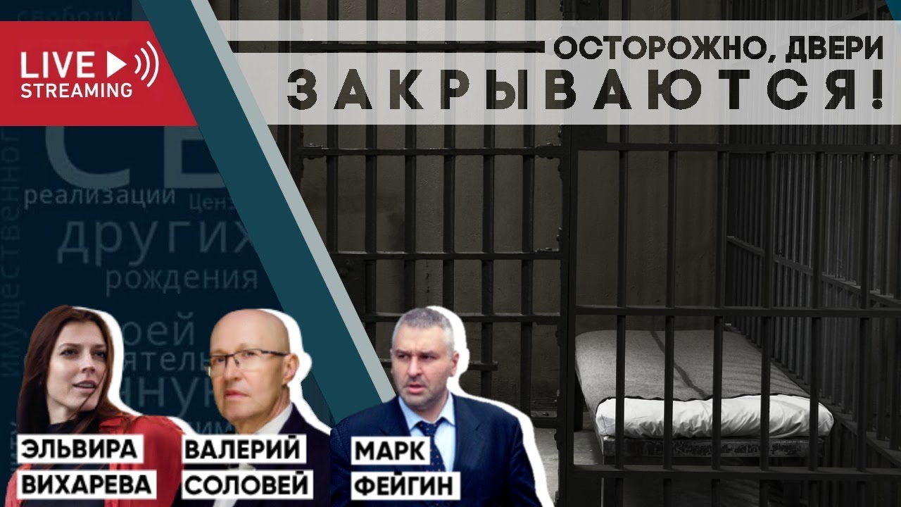 Осторожно, двери закрываются! Беседа с Марком Фейгиным и Валерием ...