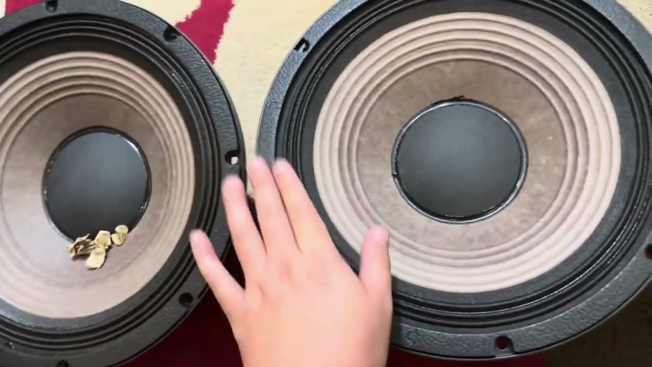 [HOT] Loa Bass 30 NR 12WF336 | Từ 190 Coil 76 | Coil Nhôm Dẹt | Giá Sỉ Cực Rẻ | Lh Zalo 0988885815