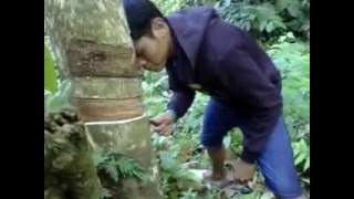 Kekayaan Bumi Kabupaten Empat Lawang sumatera selatan