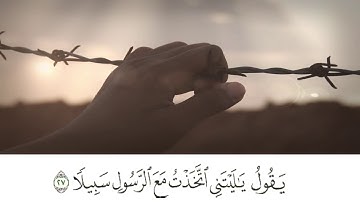 سورة الفرقان (27-29)