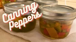 Canning Bell Peppers #canning #foodpreservation #pantry