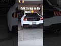 Ford Mustang GT S650 Cold Start *SUPER LOUD*😲😬‼️