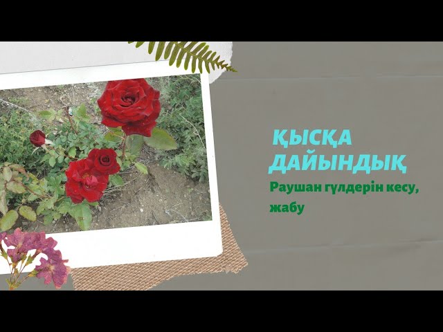 үлкен қызбен порно Тәтті қаншық мастурбация жасайды