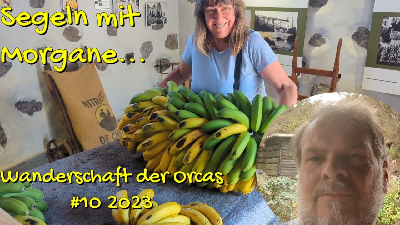 Wanderschaft der Orcas... #10 2023