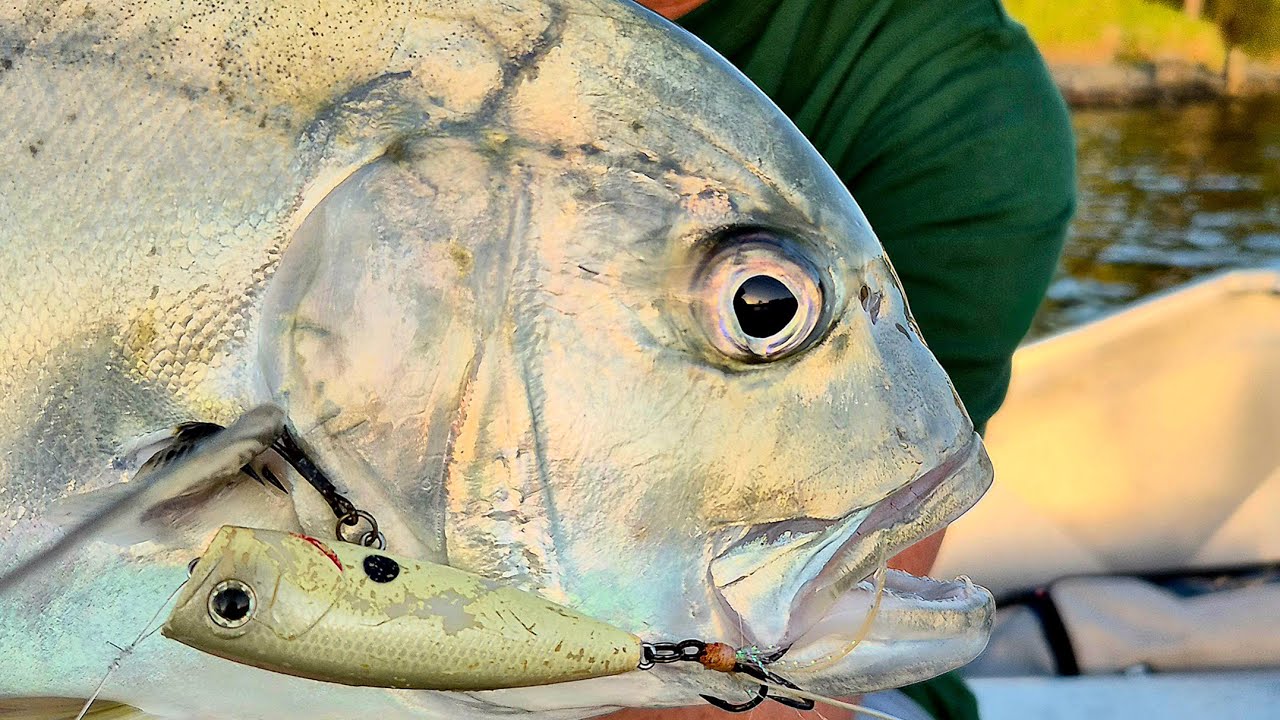 THE GREATEST TOPWATER POPPER EVER !!!  .... BUT THEY'RE ALL GONE !!